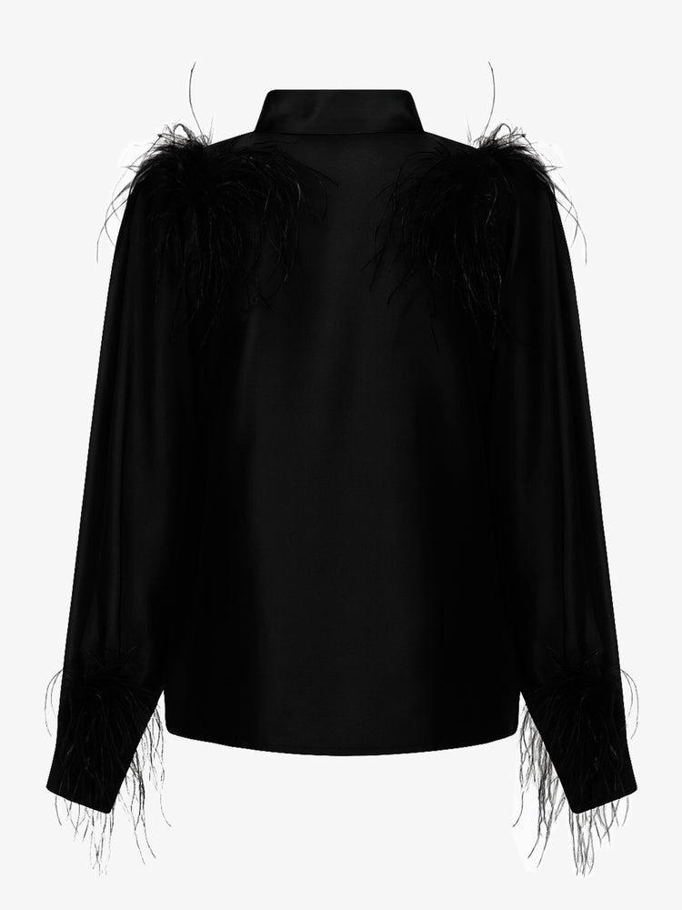 Blusa con bottoni sulla schiena e dettagli in piume